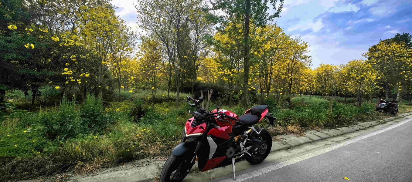 二手杜卡迪Street Fighter V2