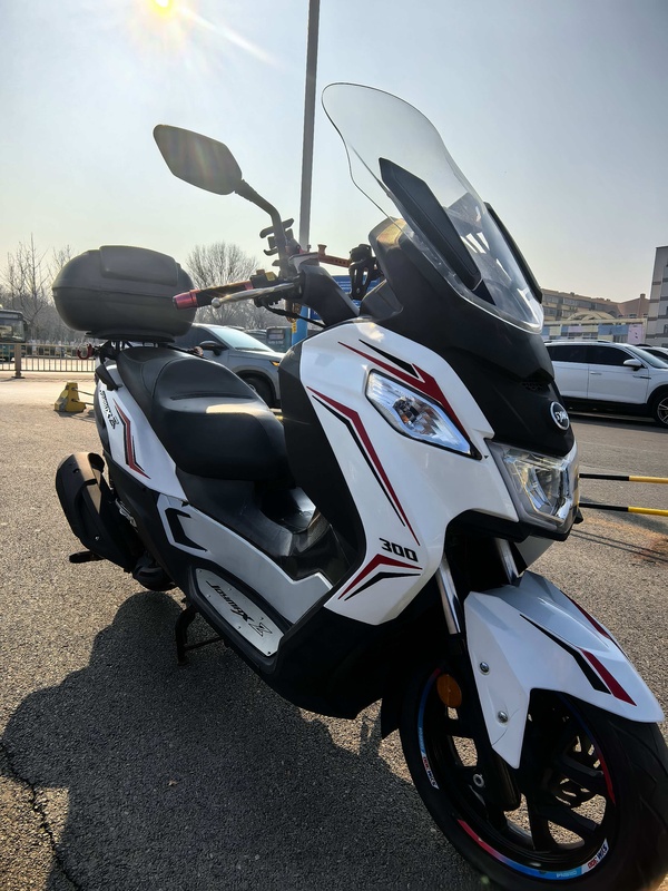 二手三阳Joymax Z 300