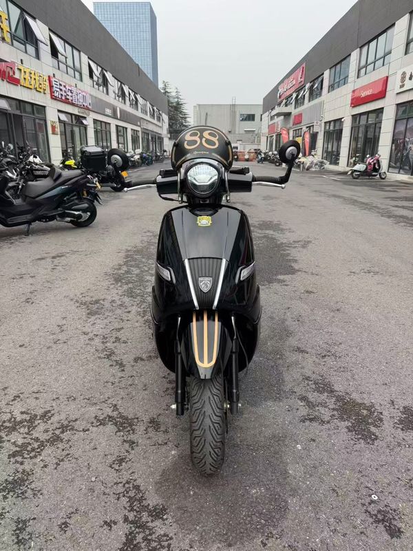 二手标致DJANGO EVO