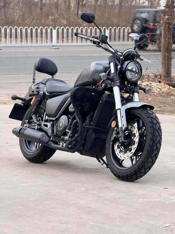 二手赛科龙RA401