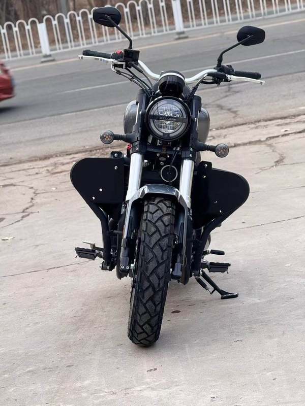 二手赛科龙RA401