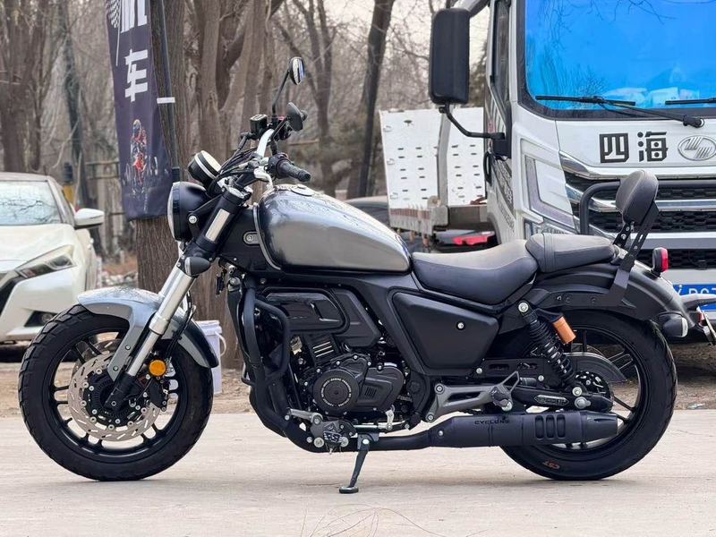 二手赛科龙RA401