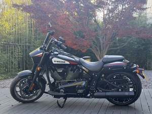 二手新威骑探路者 RX2000