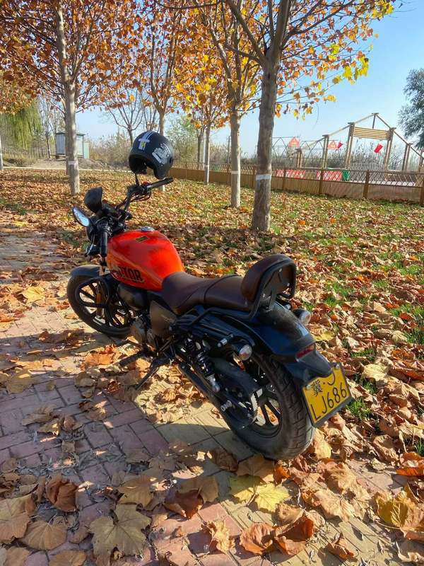 二手钱江飞虎太子150