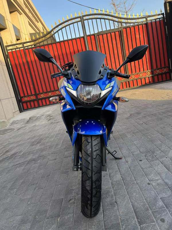二手豪爵铃木GSX250R