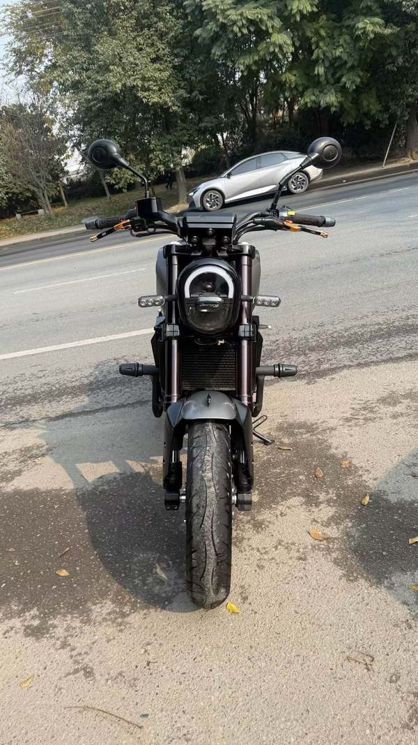 二手贝纳利幼狮 Leoncino 250