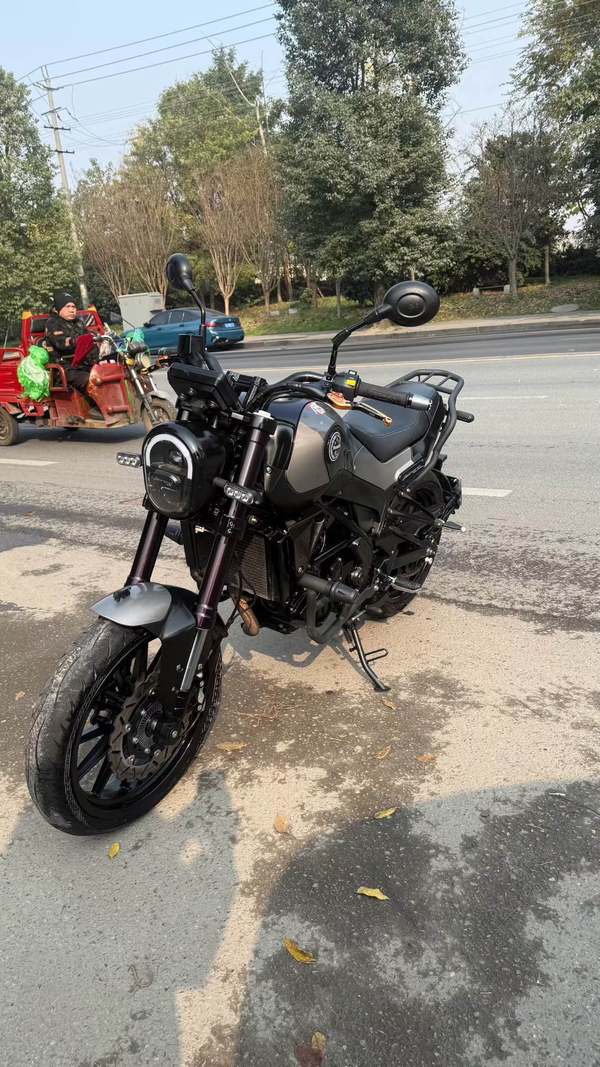 二手贝纳利幼狮 Leoncino 250