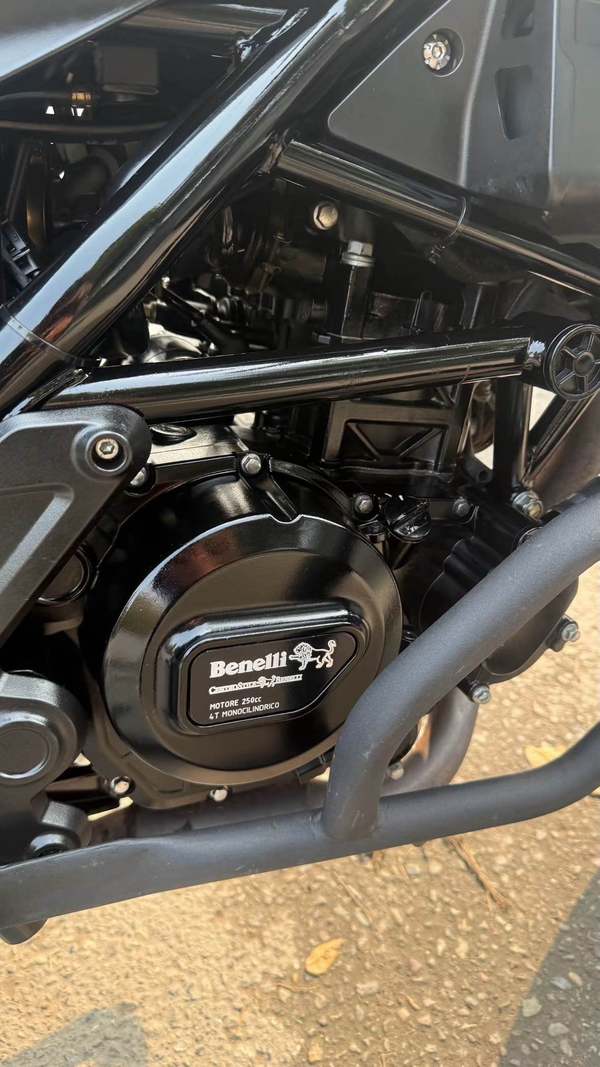 二手贝纳利幼狮 Leoncino 250