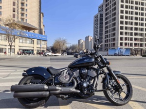 二手印第安酋长Chief