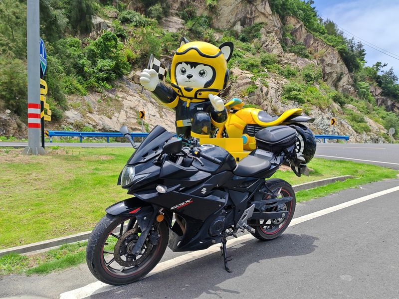 二手豪爵铃木GSX250R