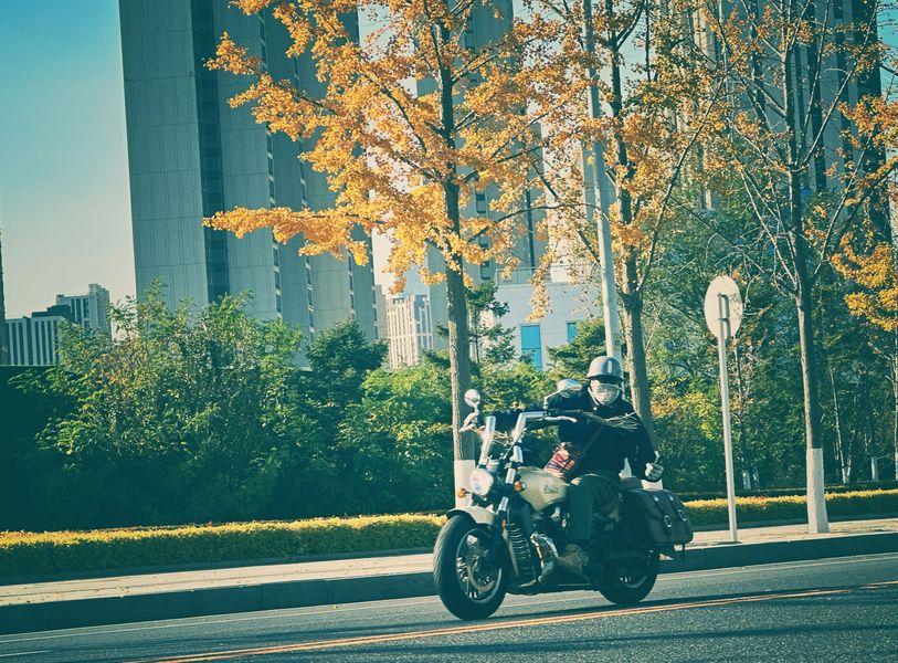 二手印第安侦察兵 Scout 