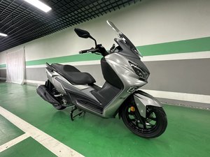 二手三阳Joymax Z 300