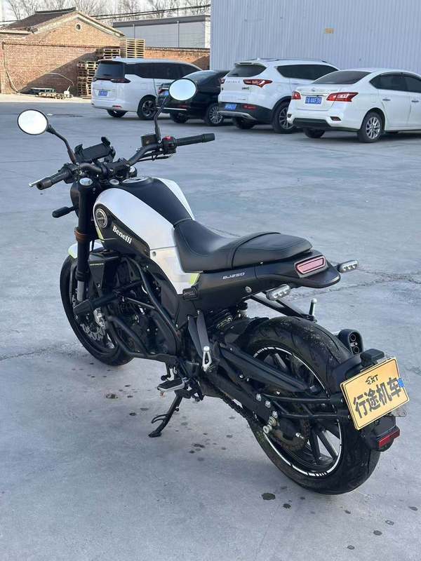 二手贝纳利幼狮 Leoncino 250