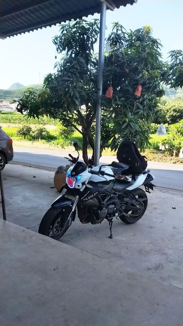 二手贝纳利TNT600i