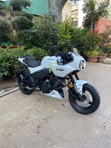 二手春风XO狒狒