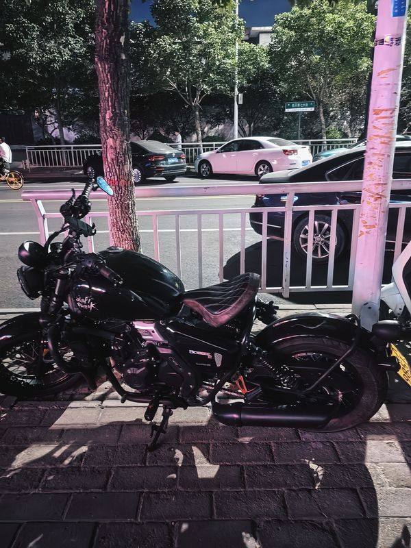 二手长江Bobbie Ⅱ 450S