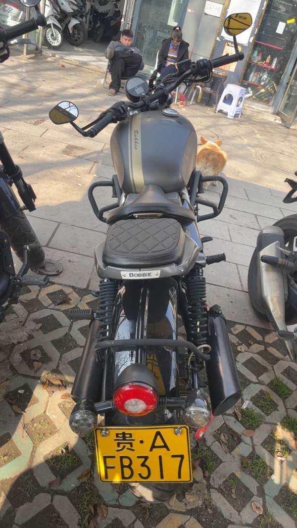 二手长江Bobbie Ⅱ 450S