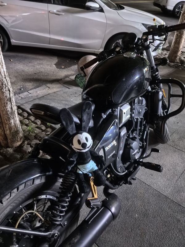 二手长江Bobbie Ⅱ 450S