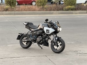 二手春风XO狒狒