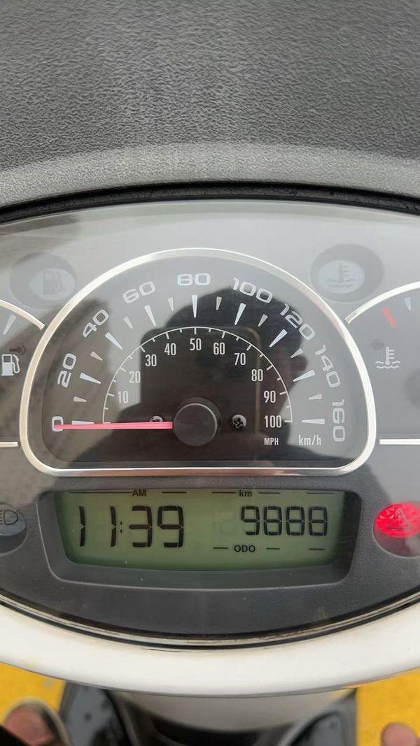 二手金城提拉米苏