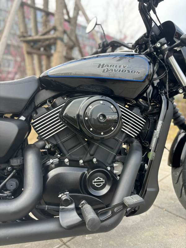 二手哈雷戴维森Street 750