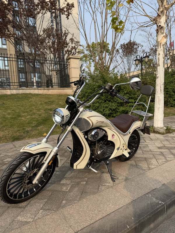 二手宗申优米Yomi