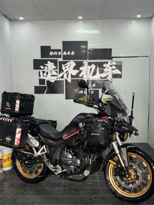 二手赛科龙RX600