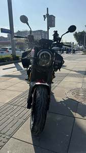 二手贝纳利幼狮 Leoncino 250