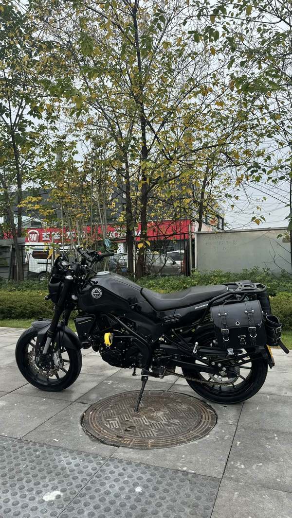 二手贝纳利幼狮 Leoncino 250