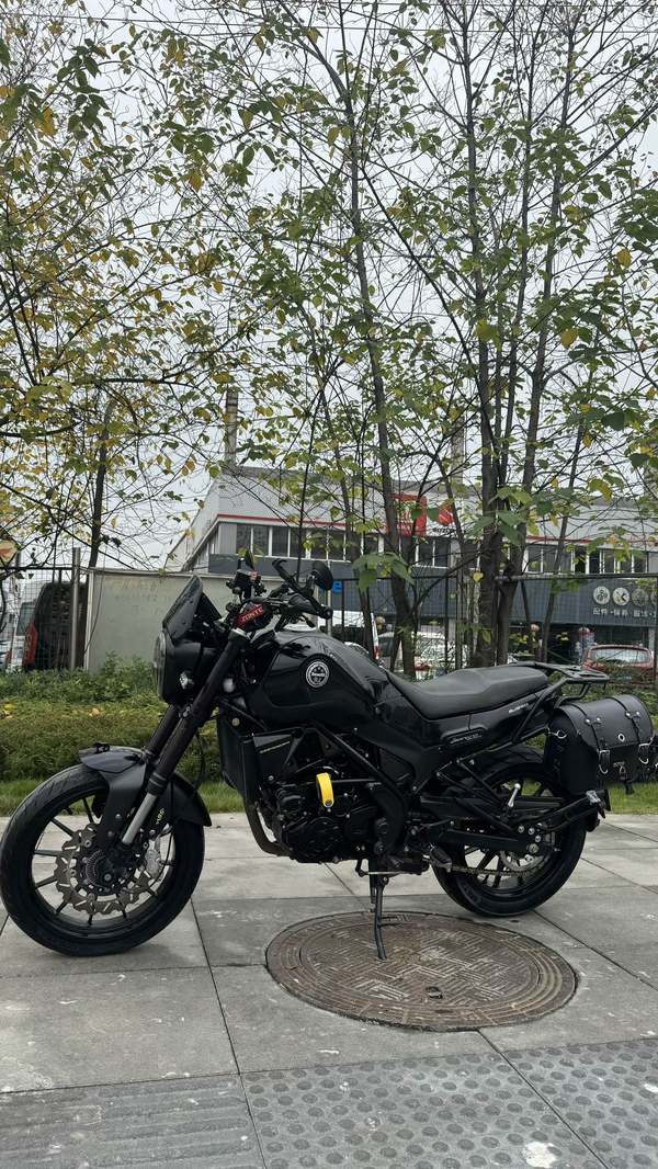 二手贝纳利幼狮 Leoncino 250