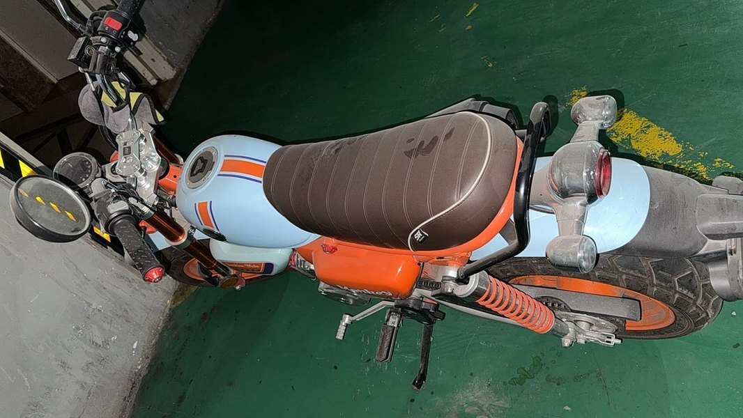 二手斯托纳猿猴