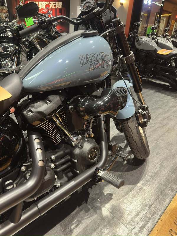 二手哈雷戴维森路威 Low Rider S