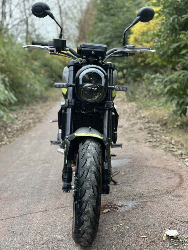 二手贝纳利幼狮 Leoncino 250