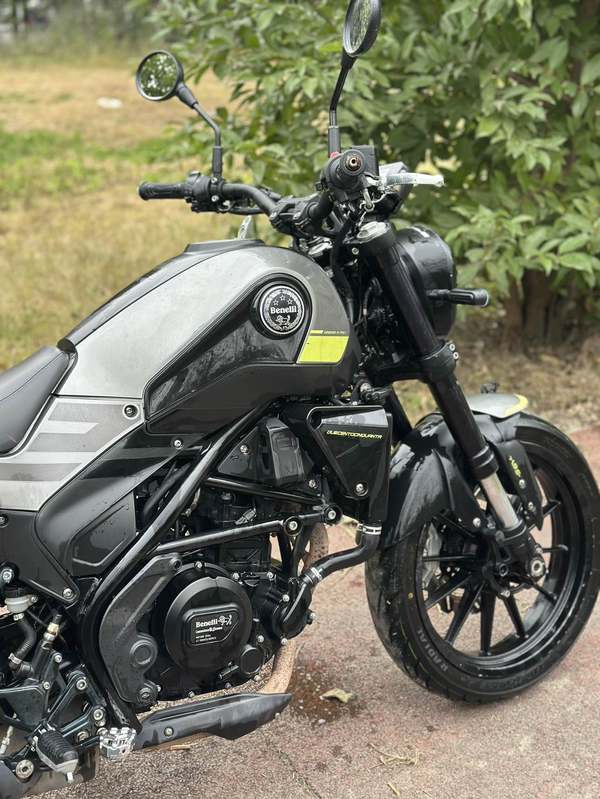 二手贝纳利幼狮 Leoncino 250