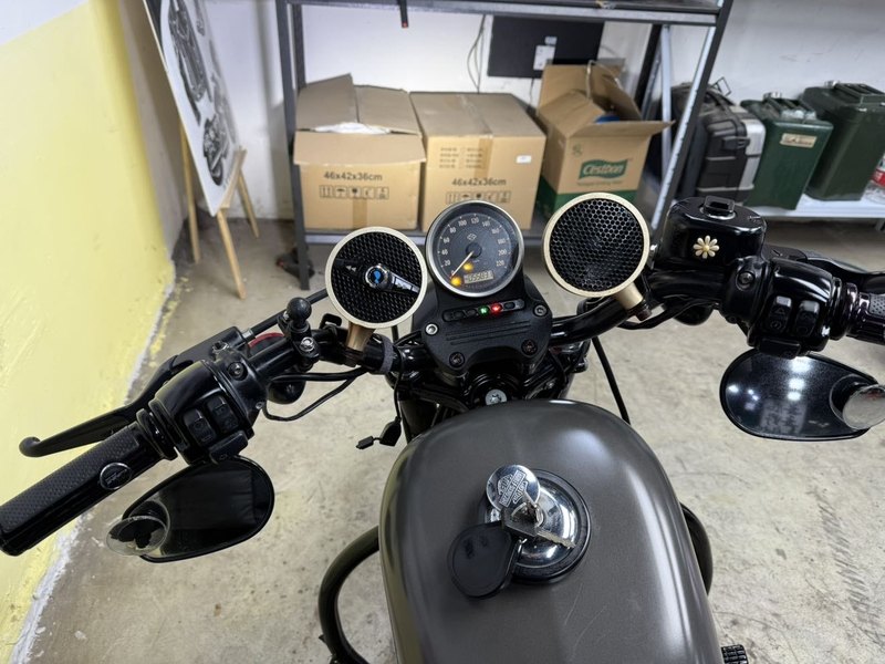 二手哈雷戴维森Iron883 硬汉