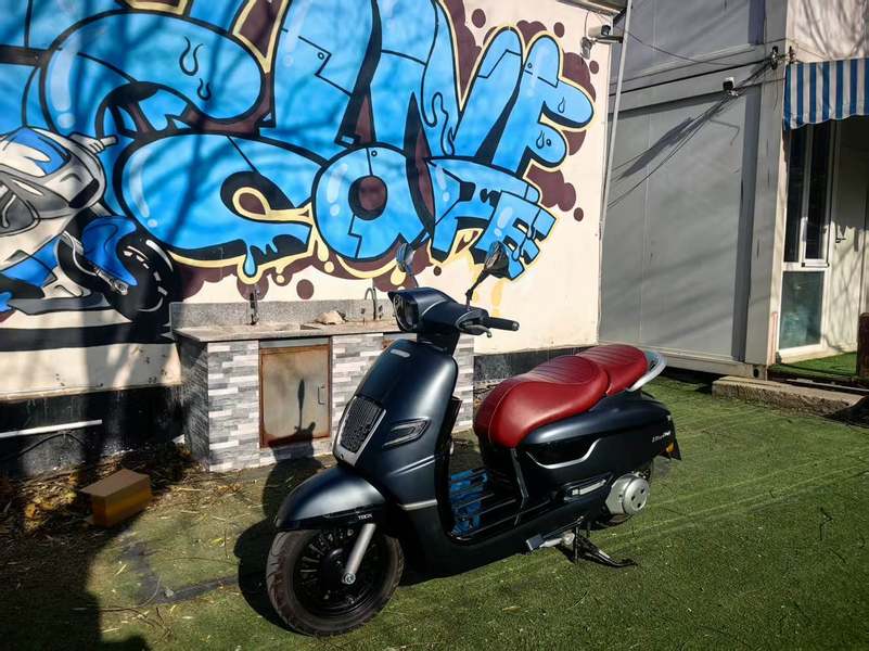 二手南方梦拉丽莎 飞戈