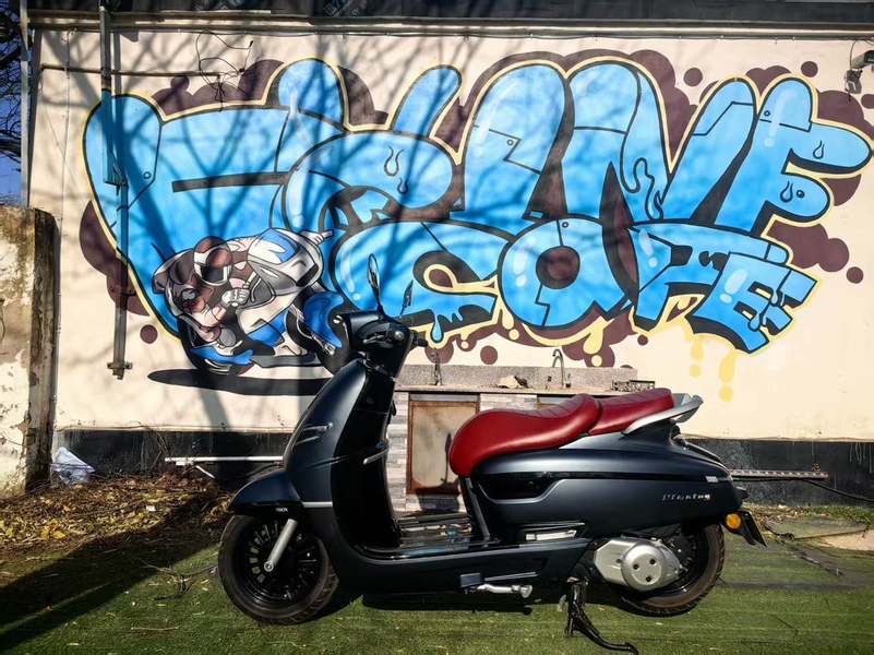 二手南方梦拉丽莎 飞戈