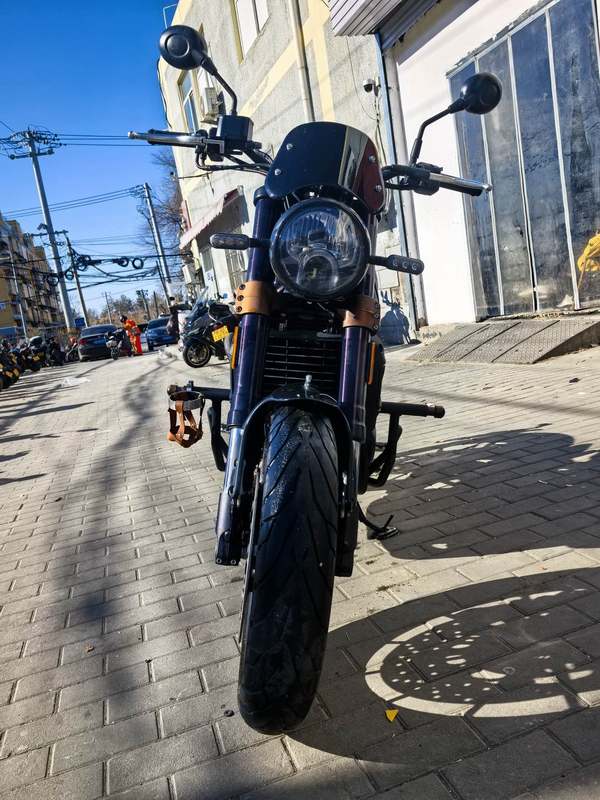 二手贝纳利幼狮 Leoncino 500