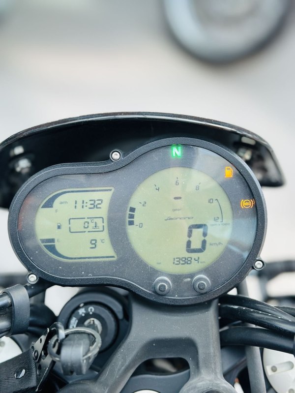 二手贝纳利幼狮 Leoncino 500