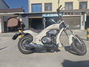 二手宗申优米Yomi