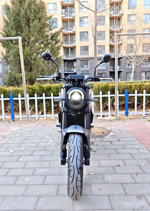 二手贝纳利幼狮 Leoncino 250