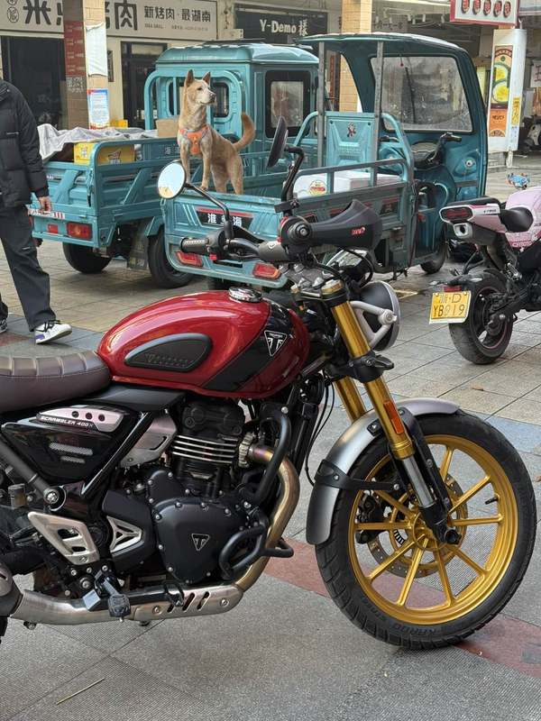 二手凯旋Scrambler 400 X