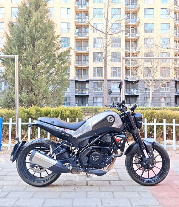 二手贝纳利幼狮 Leoncino 250