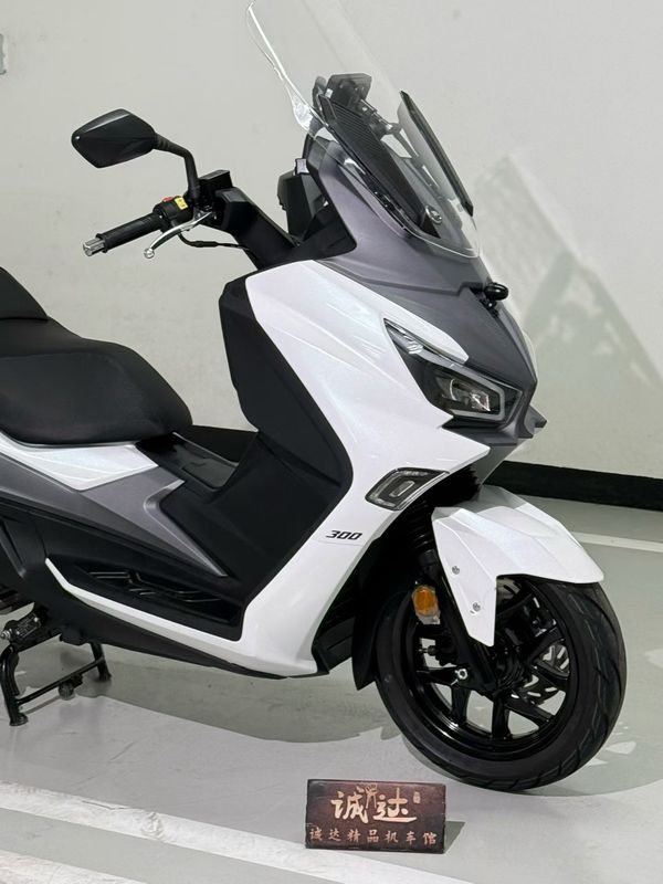 二手三阳Joymax Z 300