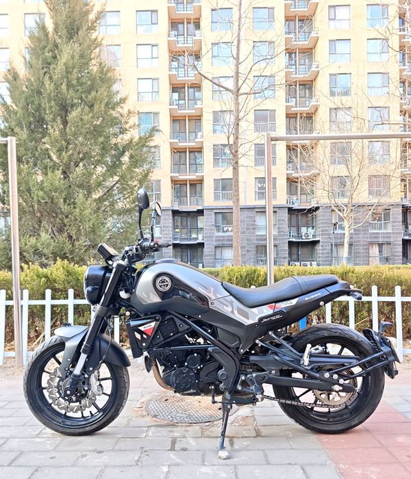 二手贝纳利幼狮 Leoncino 250