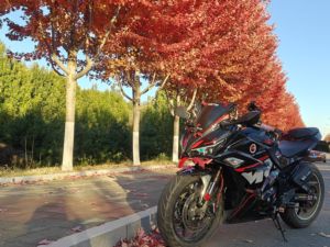 二手诺马魅影 255S