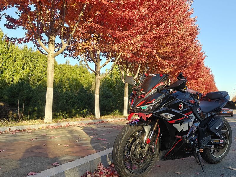 二手诺马魅影 255S