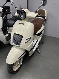 二手南方梦拉丽莎 飞戈