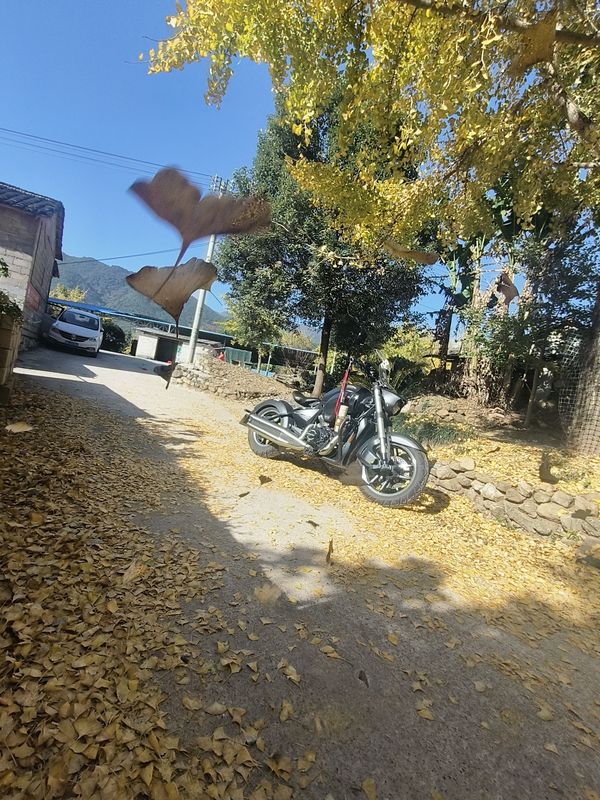 二手晓星驯风300