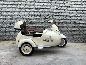 二手南方梦拉丽莎 飞戈边三轮